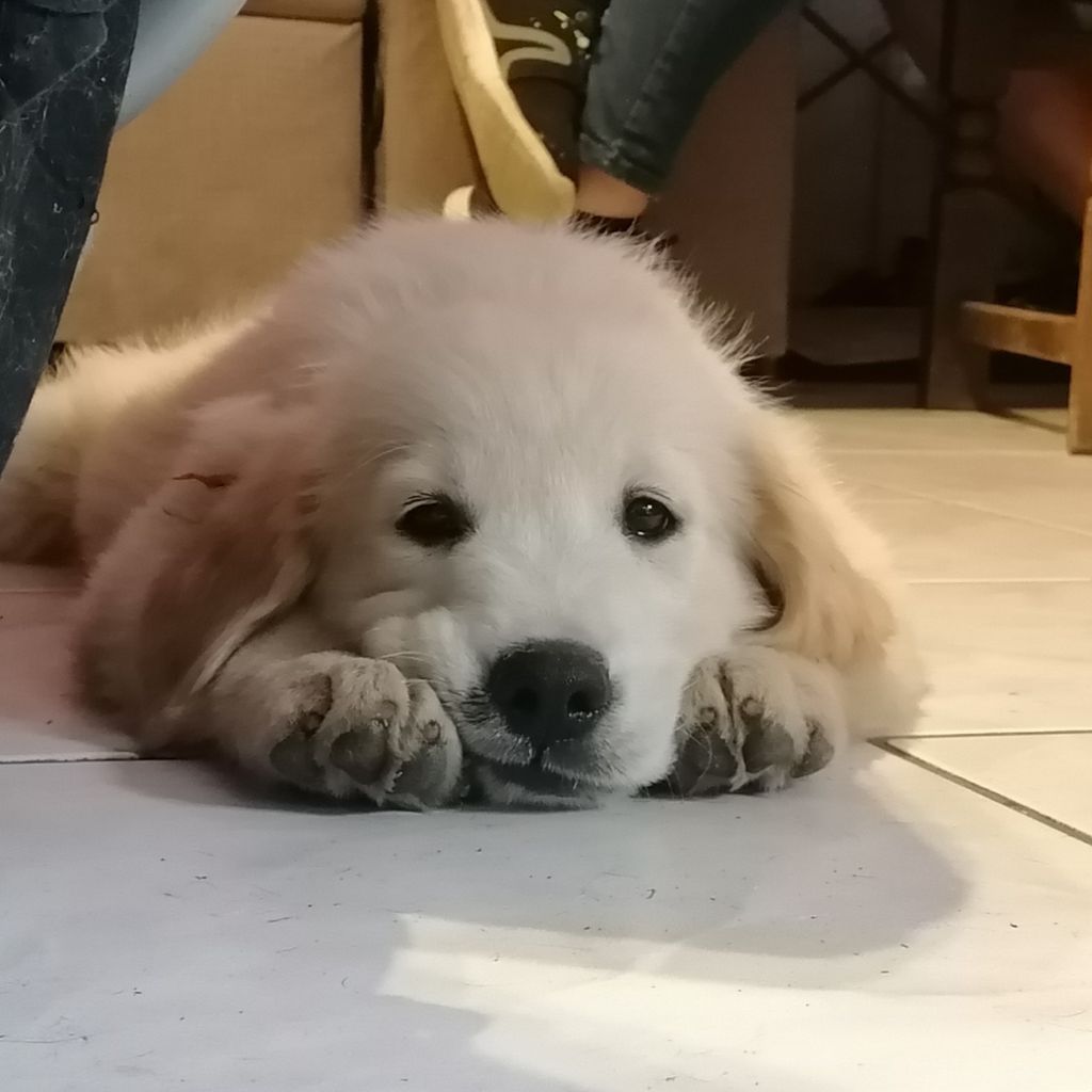 Nouvelle naissance !
